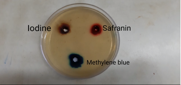 experiments to show diffusion